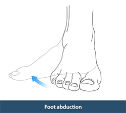 Foot Eversion