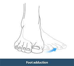 Foot Eversion