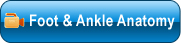 Foot & Ankle Anatomy