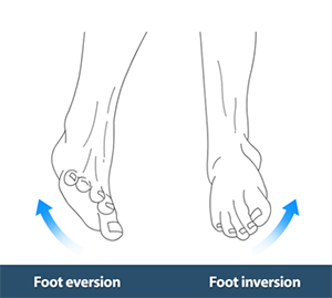 Foot Eversion