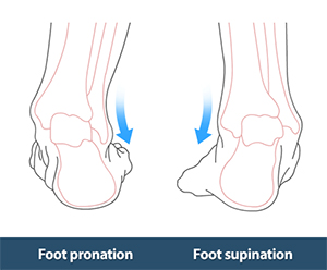 Foot Eversion