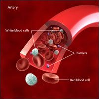 PRP Injections