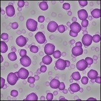 PRP Injections
